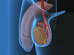 varicocele at testicular pain sa pagpukaw